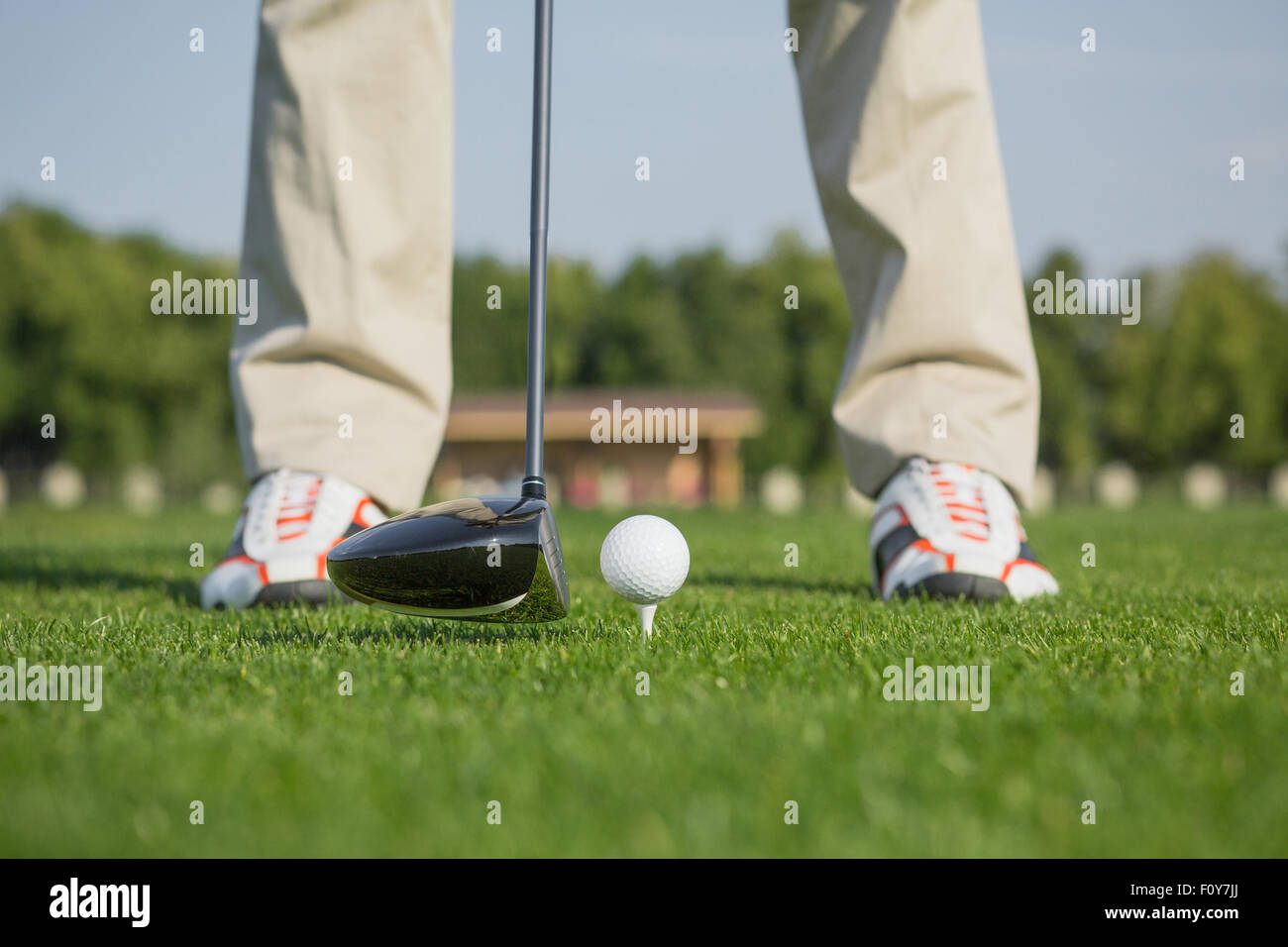 Golf ball on green meadow. Man going to hit a ball by a driver. Male