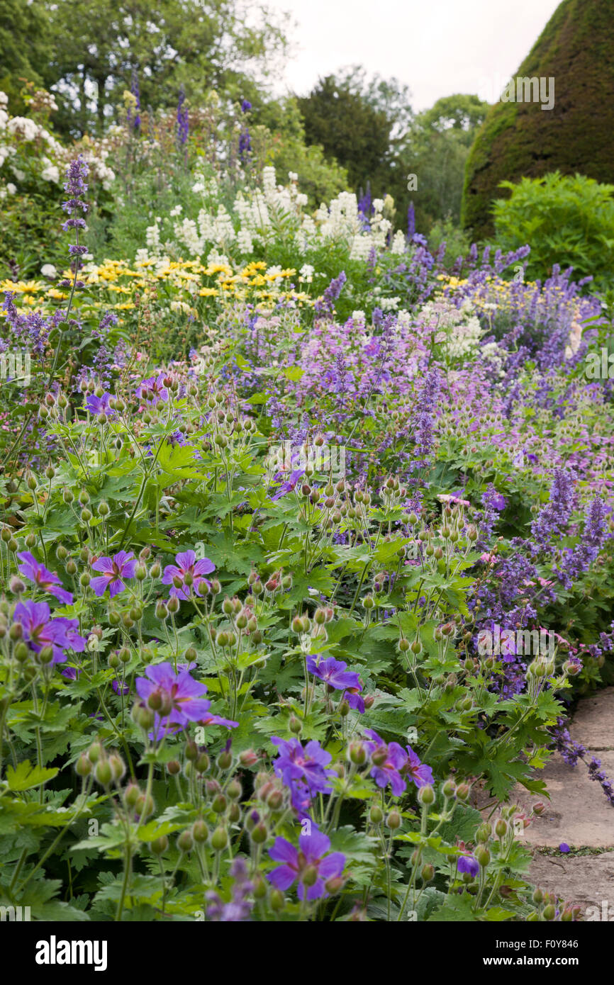Summer flowering mixed garden border, England Stock Photo