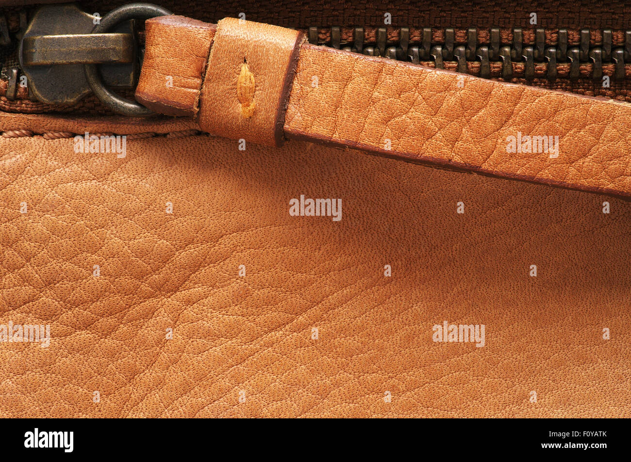 Zip on leather, close-up Stock Photo