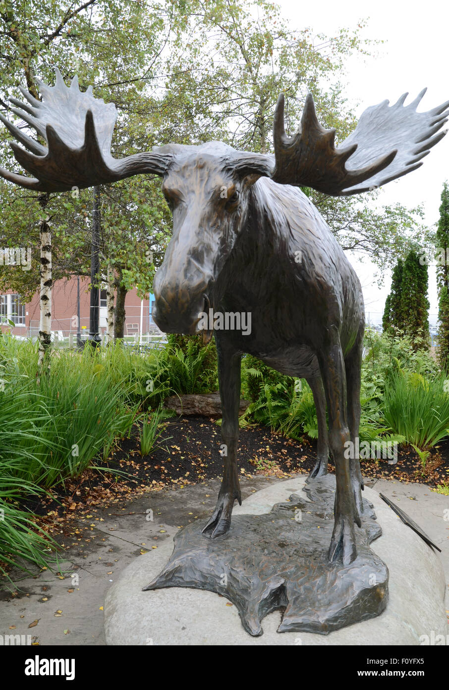 Moose sculpture hi-res stock photography and images - Alamy Moose sculpture hi-res stock photography and images - Alamy