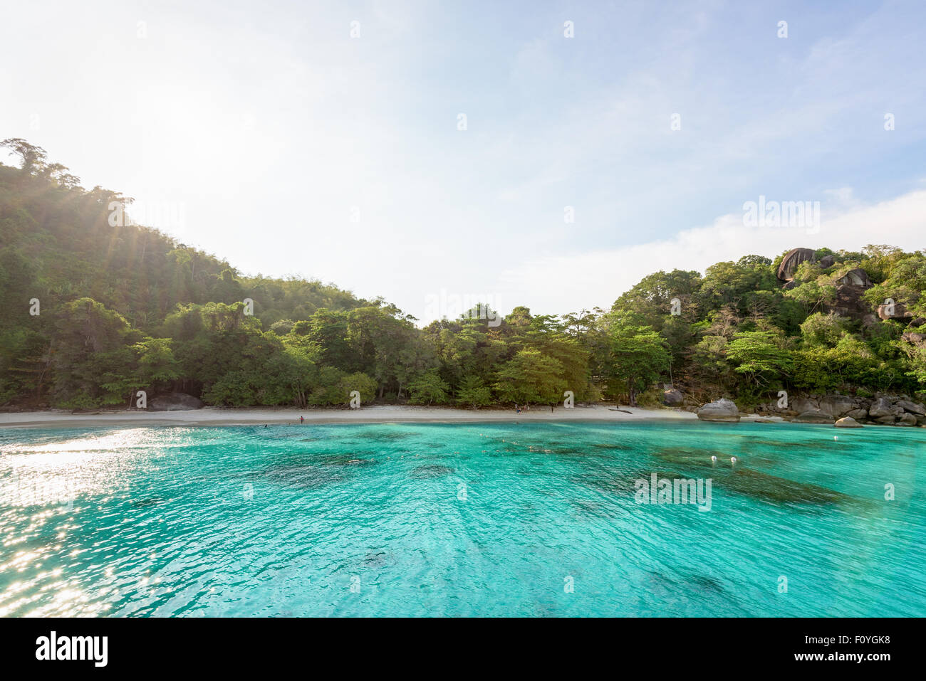 Beautiful green blue sea front small beach at Honeymoon Bay is a famous attractions for diving on Ko Miang island in Koh Similan Stock Photo