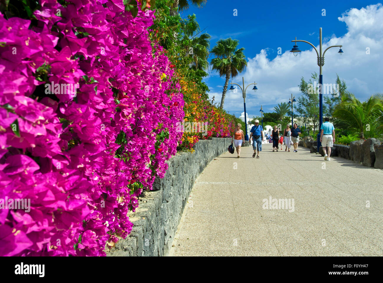 Playa Blanca Colourful Bougainvillea Lined Pedestrian