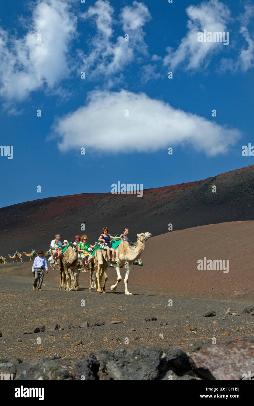TIMANFAYA Camel train trekking trek with tourists in Timanfaya National Park Lanzarote Canary Islands Spain Stock Photo