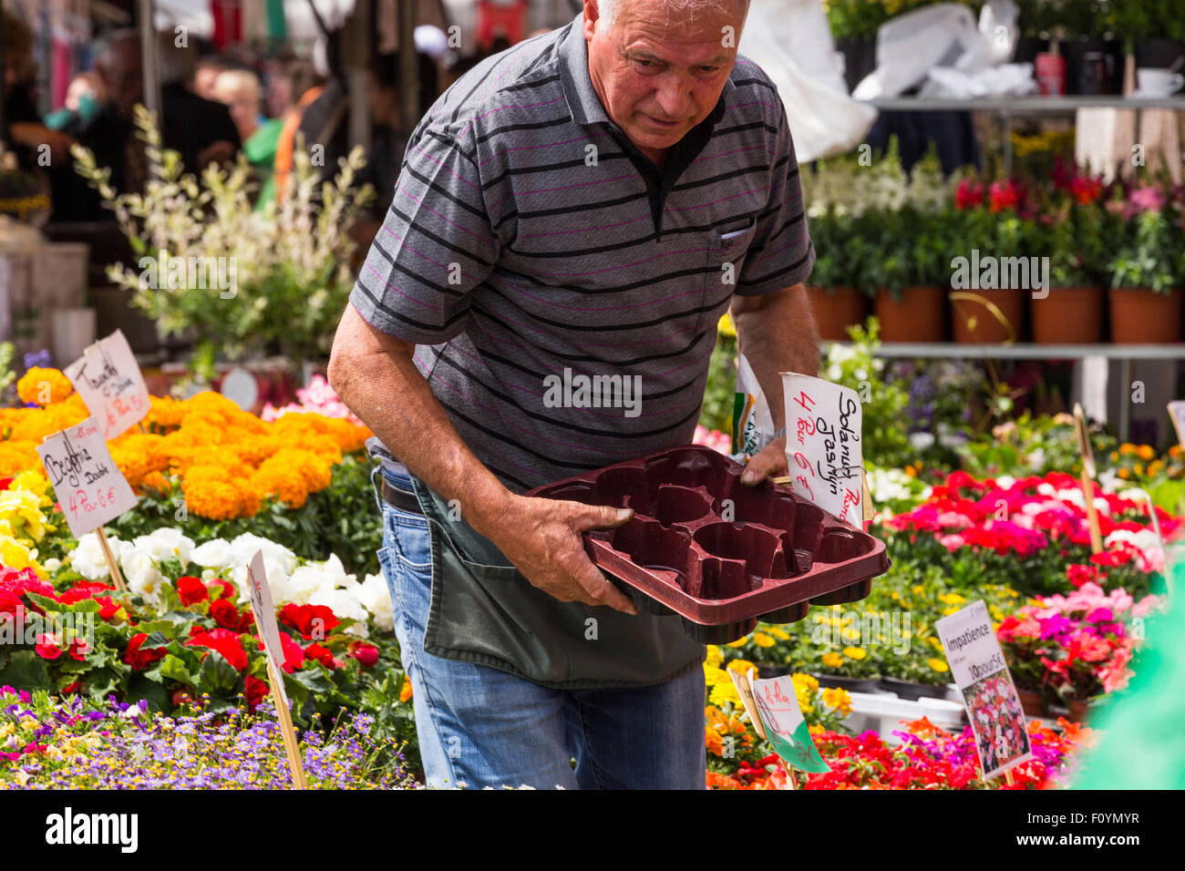 Flower stalls at the La Batte Sunday market in Liege, Belgium Stock