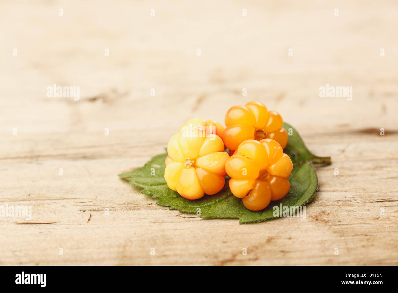 Cloudberries (moroshka) on a wooden table. Wild northern berry. Shallow  depth of field Stock Photo - Alamy