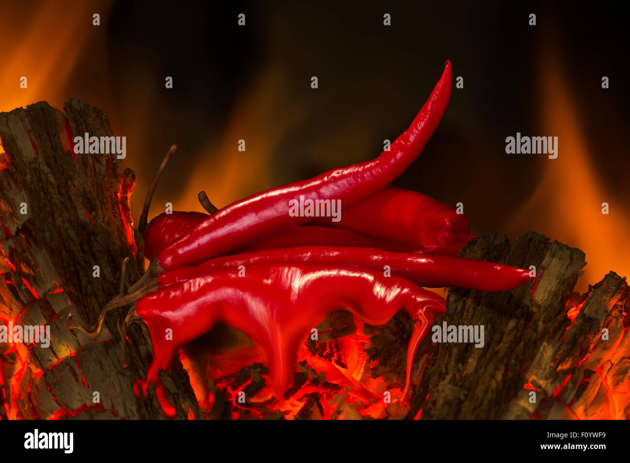 Red chillie peppers on top of burning logs melting with flames in the background. Stock Photo