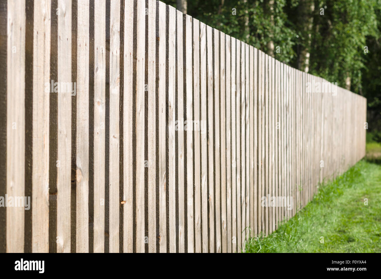 3 Different Fencing Material Options For Your Yard