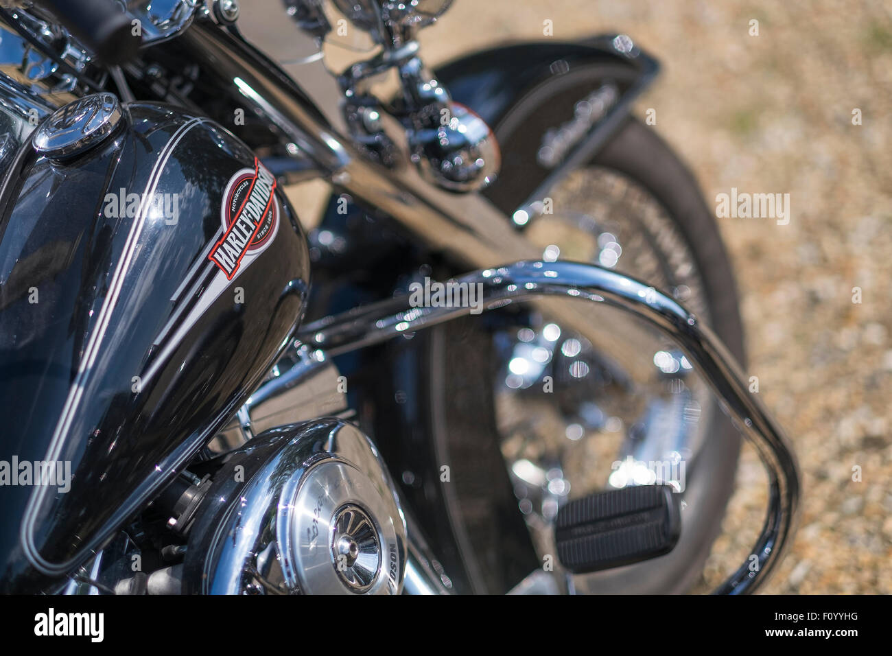A close-up picture of a Harley Davidson motor cycle fuel tank and ...