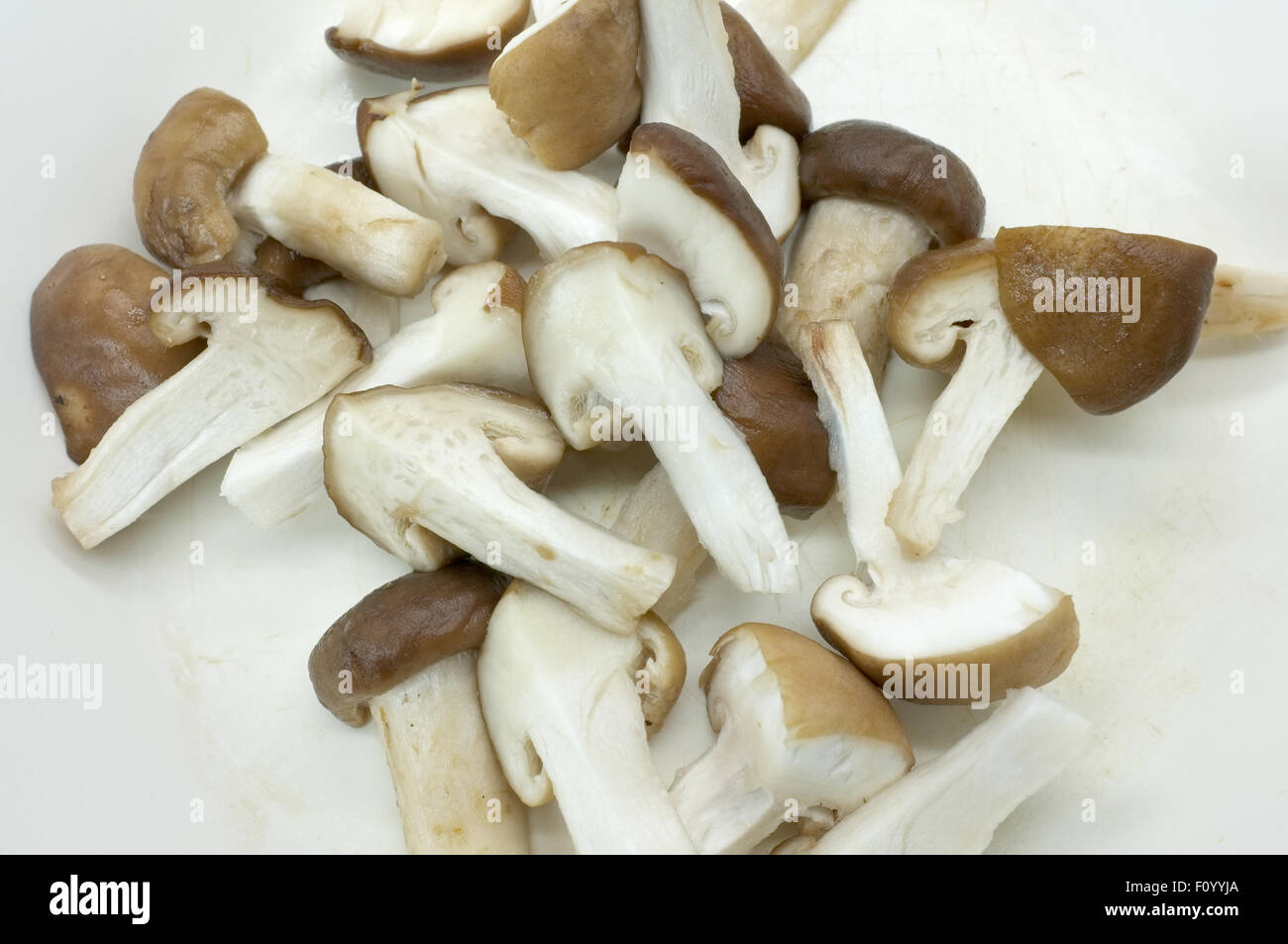 Raw fresh chopped mushroom Stock Photo