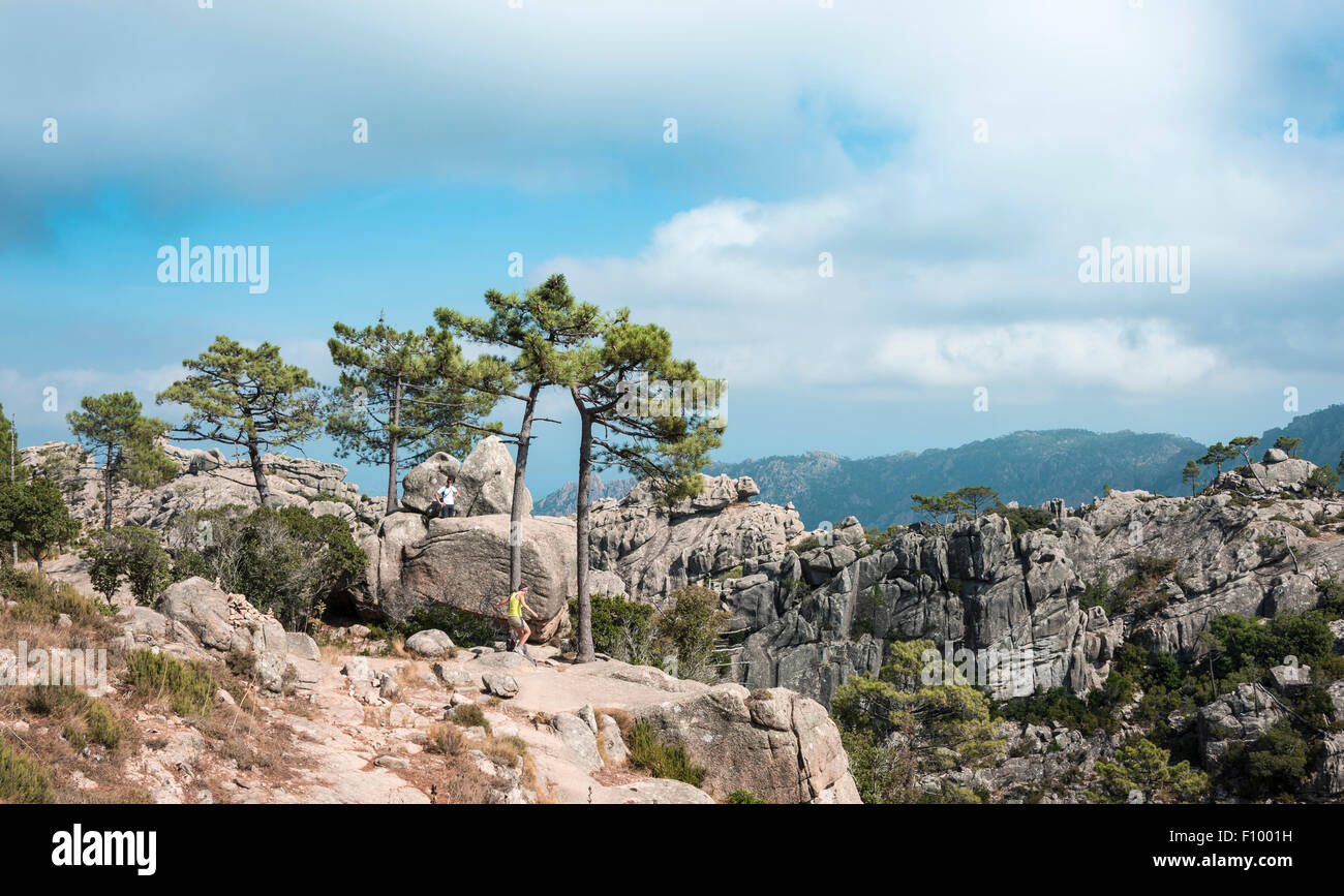 Alta Roca Mountainous landscape, L'Ospedale Alta Rocca, Corsica, France Stock ...
