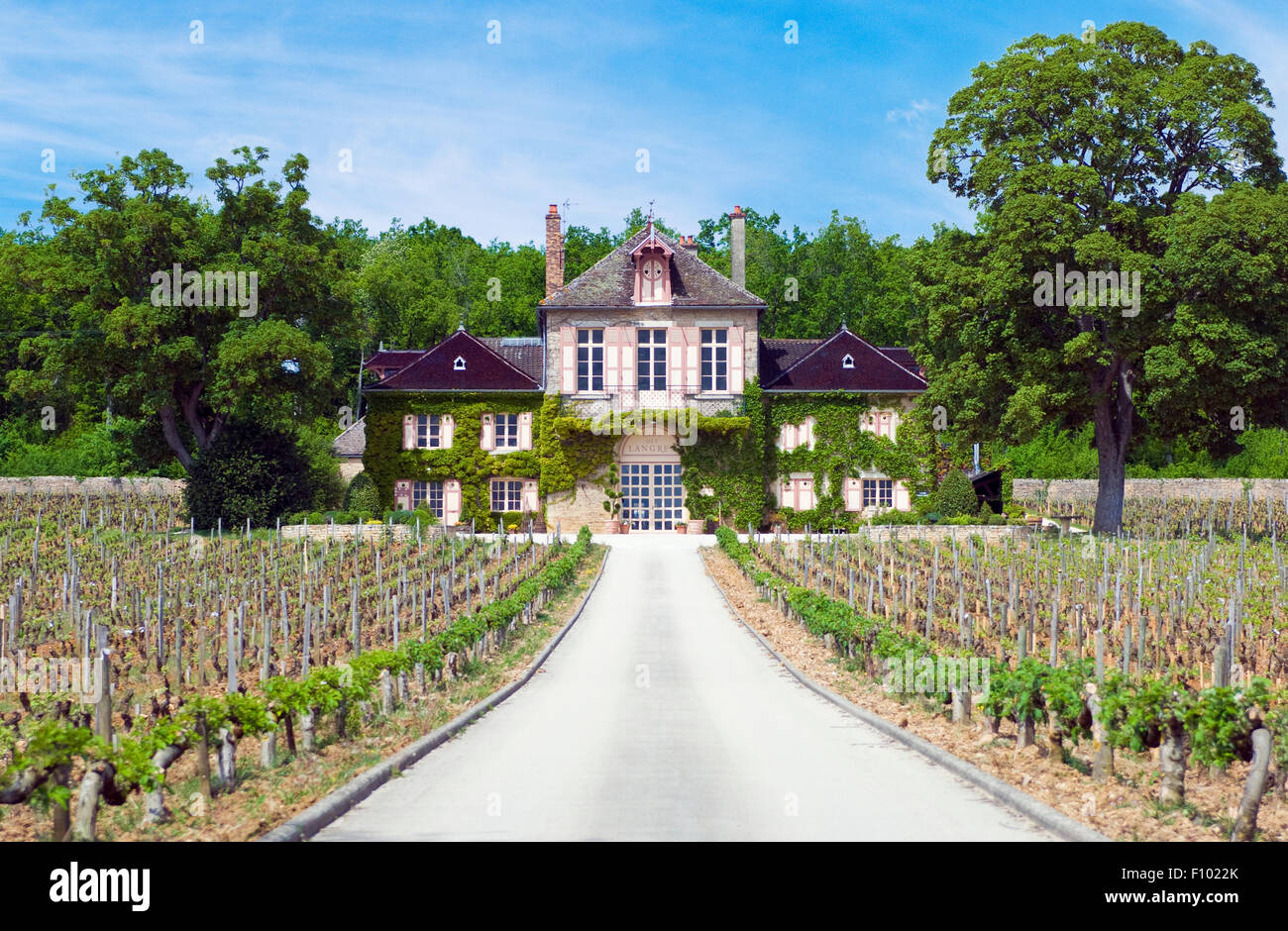 The vineyards and château of Domaine d’Ardhuy Clos Des Langres in Côte de Nuits in Burgundy, France Stock Photo