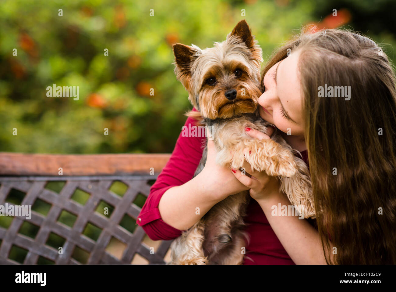 Girl kissing her Yorkshire dog sitting on bench outdoor Stock Photo