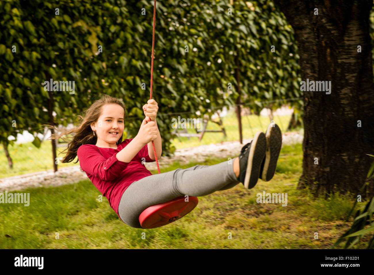 Happy girl swinging on seesaw hanging from cherry tree behind family house Stock Photo