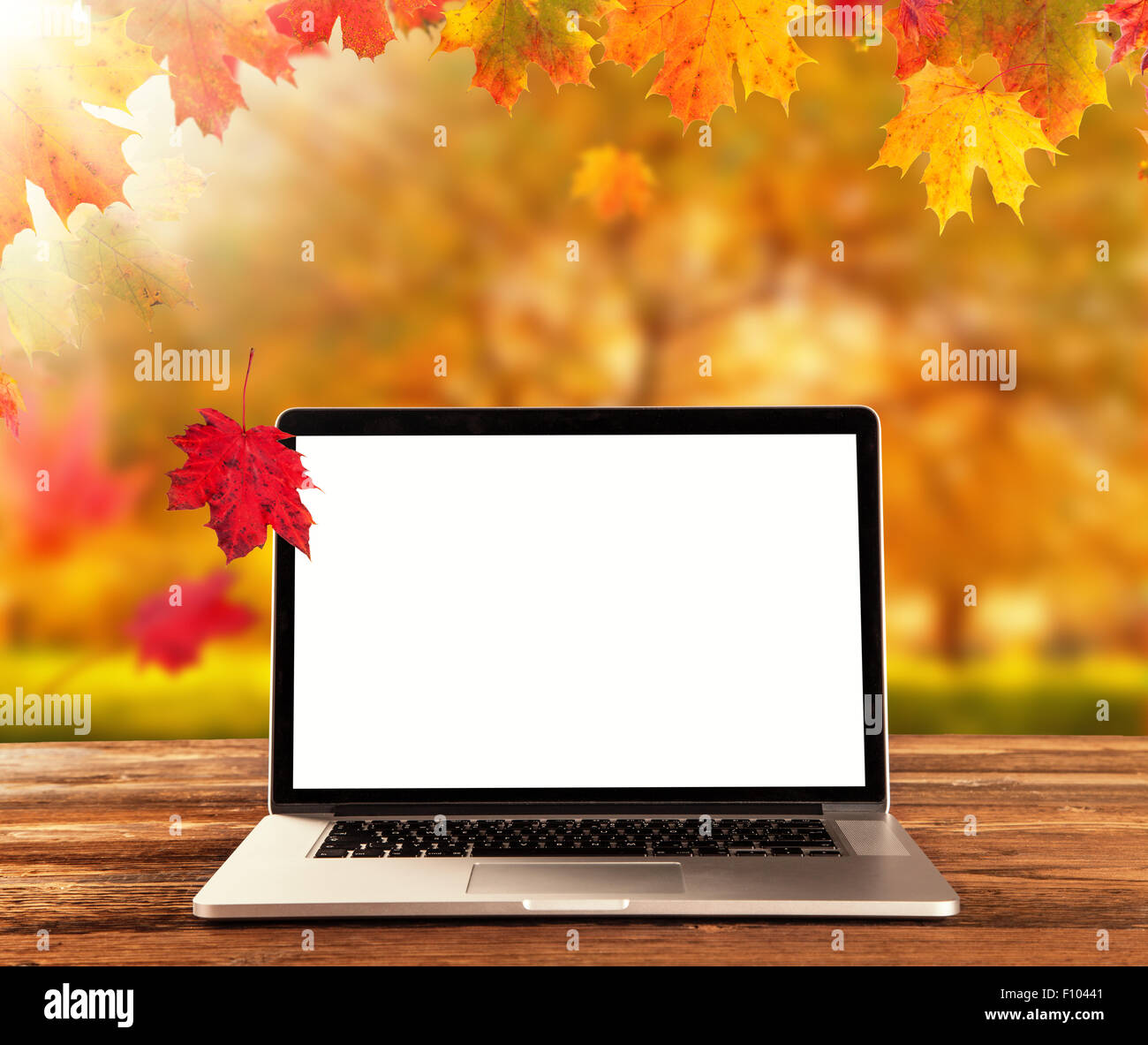 Laptop on wooden table in autumn season Stock Photo