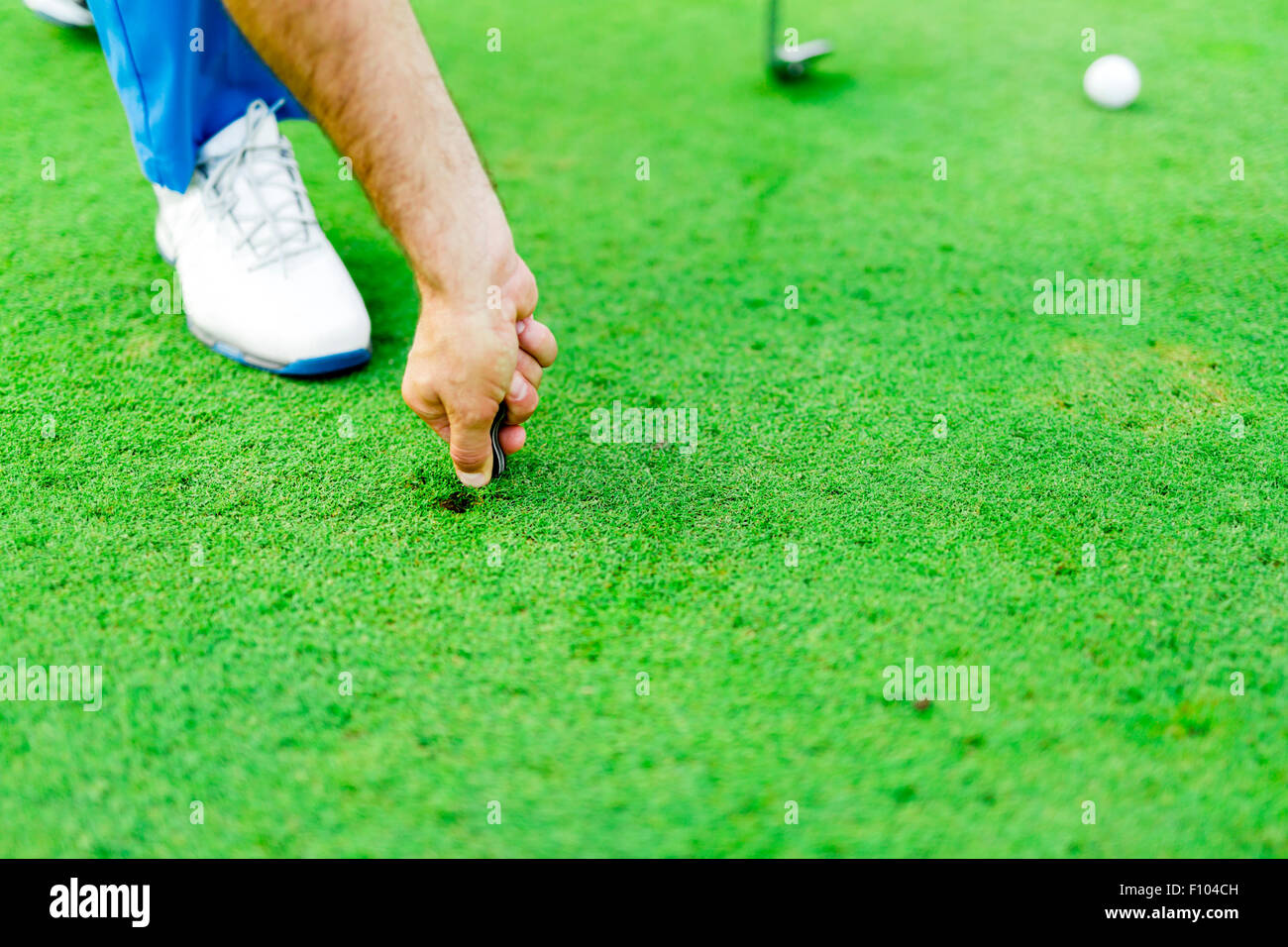 Golf player repairing divot on a green grass surface Stock Photo Alamy