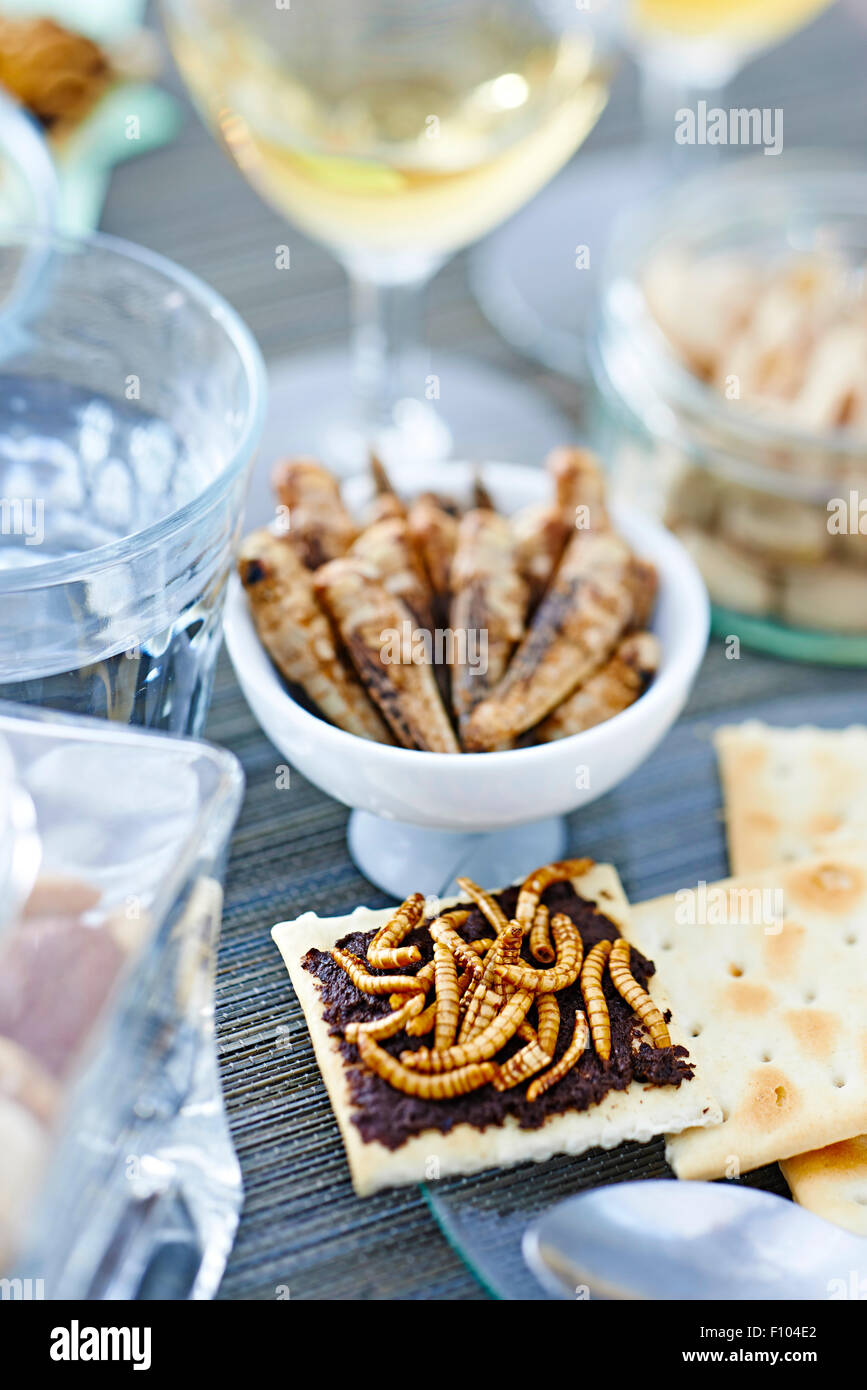 INSECT FOOD Stock Photo