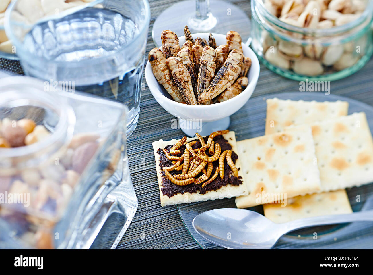 INSECT FOOD Stock Photo