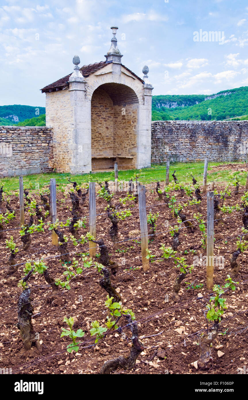 The vineyards of Domaine Armand Rousseau. A 1er Cru in Gevrey Chambertin in Burgundy, and the statue of Saint Jacques Stock Photo