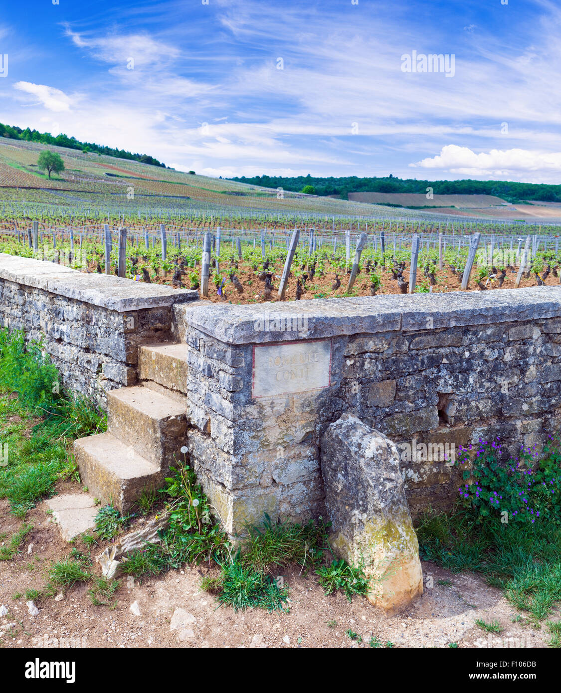 The south east corner marker of the Romanee-Conti Vineyards in Burgundy, France Stock Photo