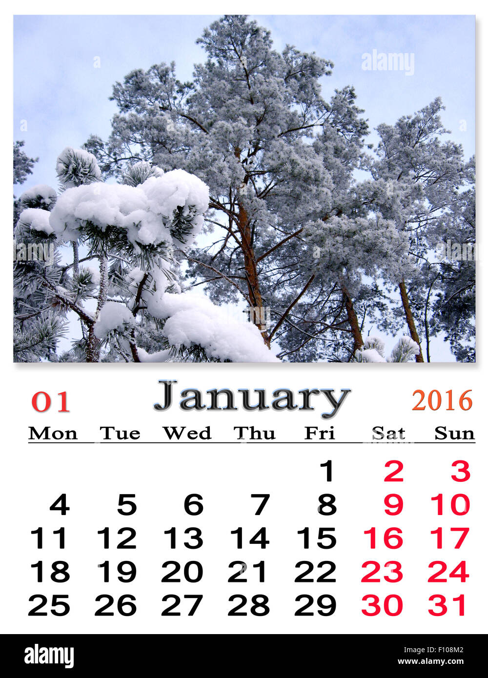 calendar for January 2016 on the background of snowy pines and hoarfrost on the trees Stock Photo