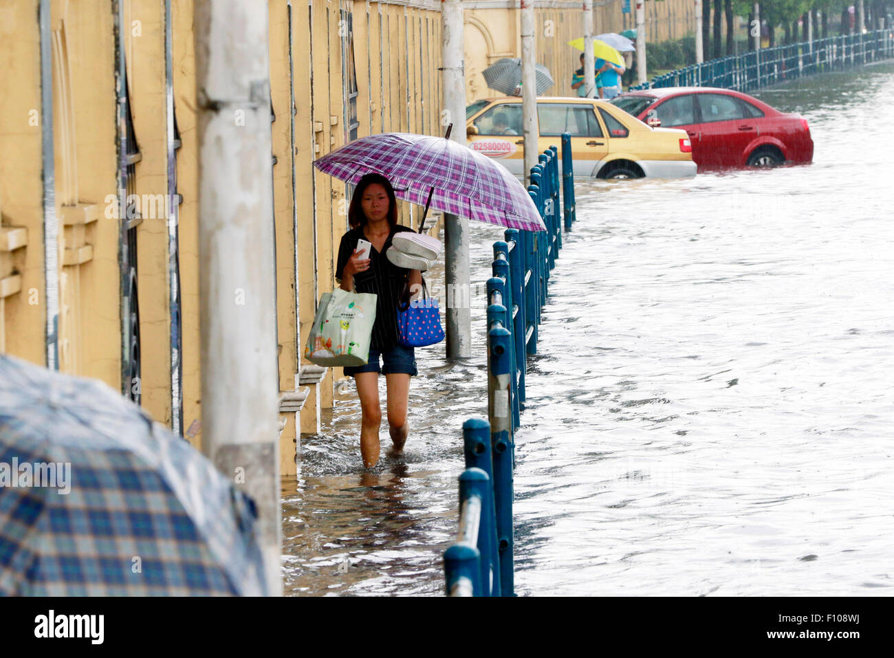 Shanghai. 24th Aug, 2015. A woman walks on a waterlogged road in rain in east China's Shanghaiy, Aug. 24, 2015. Shanghai witnessed gales and rainstorms since Sunday night under the influence of the approaching typhoon Swan. Credit:  Zhao Yun/Xinhua/Alamy Live News Stock Photo