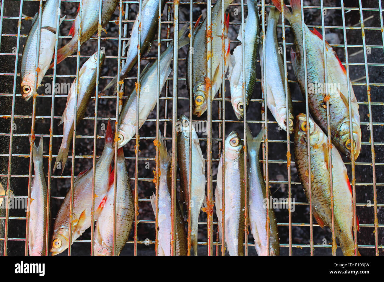 grilled and smoked fish of common bleak and rudd Stock Photo
