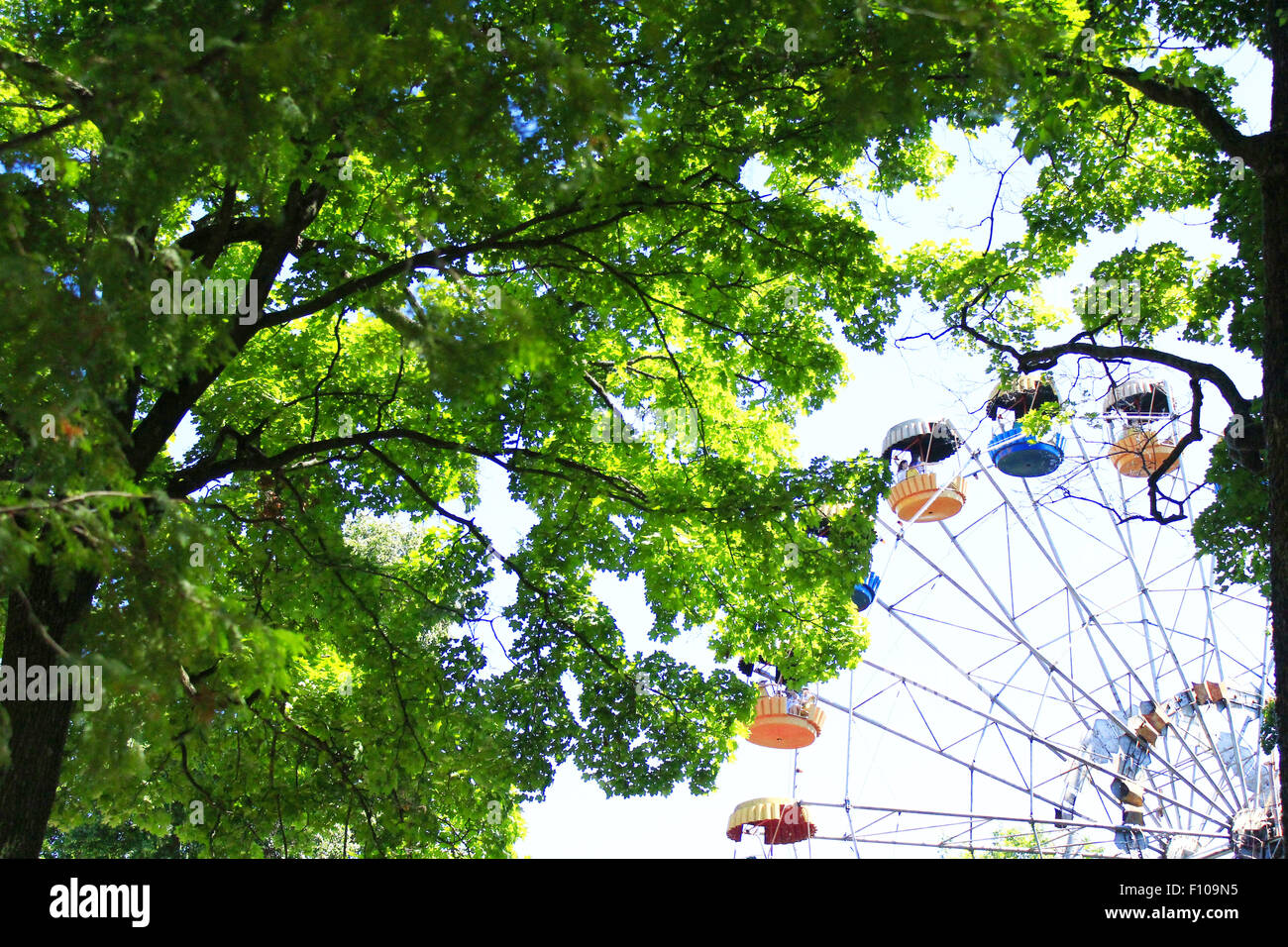 ferris wheel in the park with big green trees Stock Photo