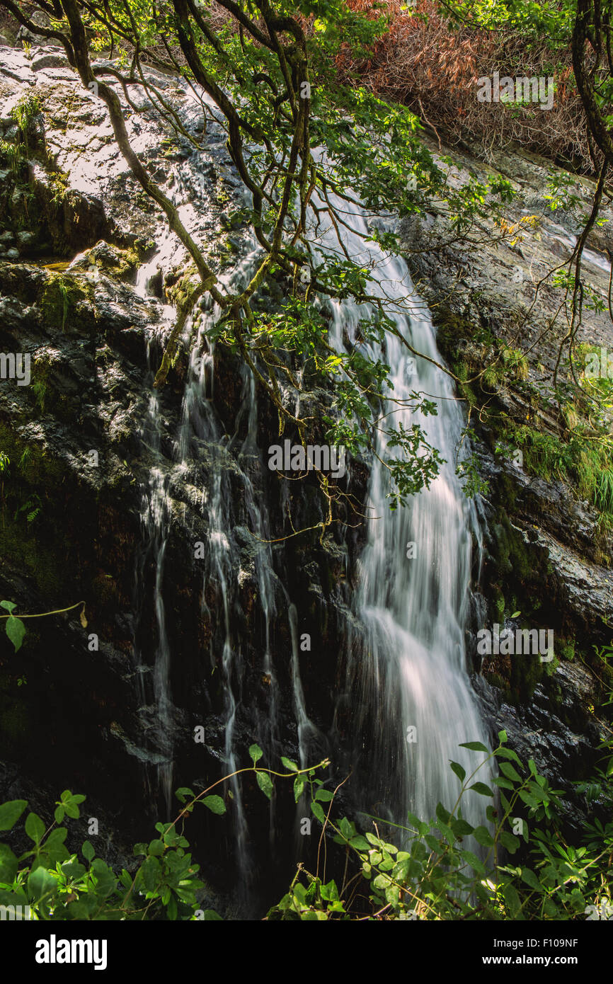 A small waterfall located in Donard forest. It is part of the Glen river which flows down Slieve Donard in the Mourne mountains. Stock Photo