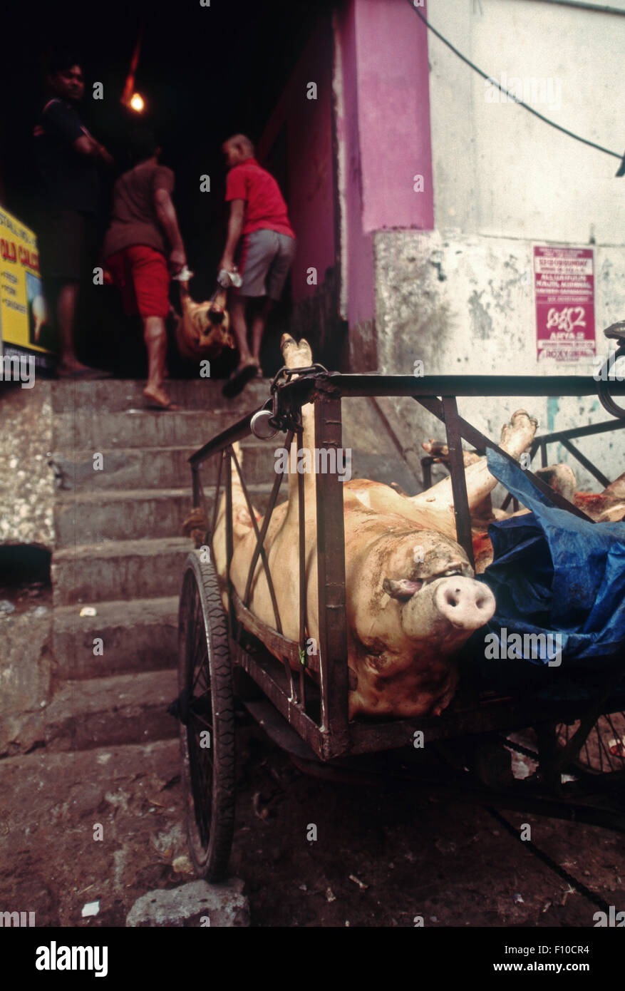 Butchered pigs delivered to a market in Kolkata,India Stock Photo