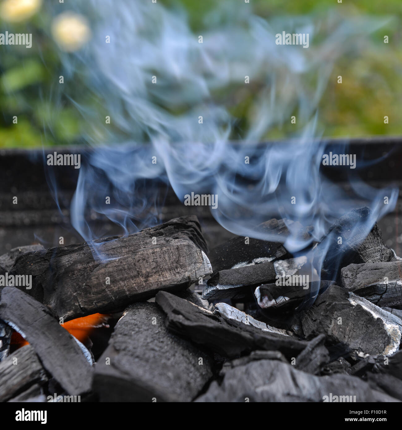 Burning charcoal on barbecue grill Stock Photo Alamy