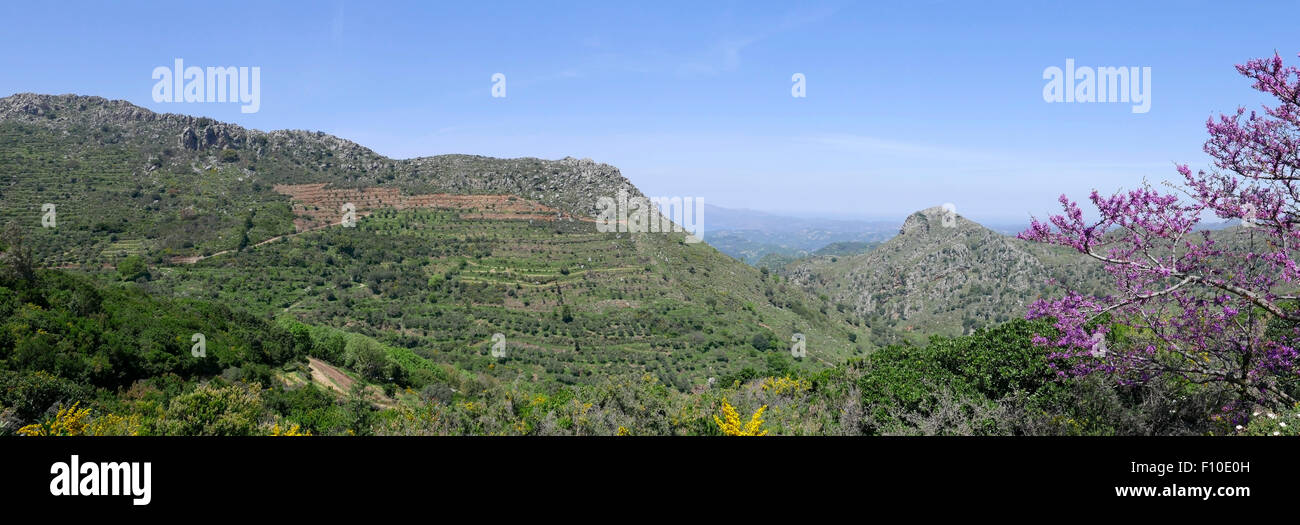 Crete chania milia hi-res stock photography and images - Alamy