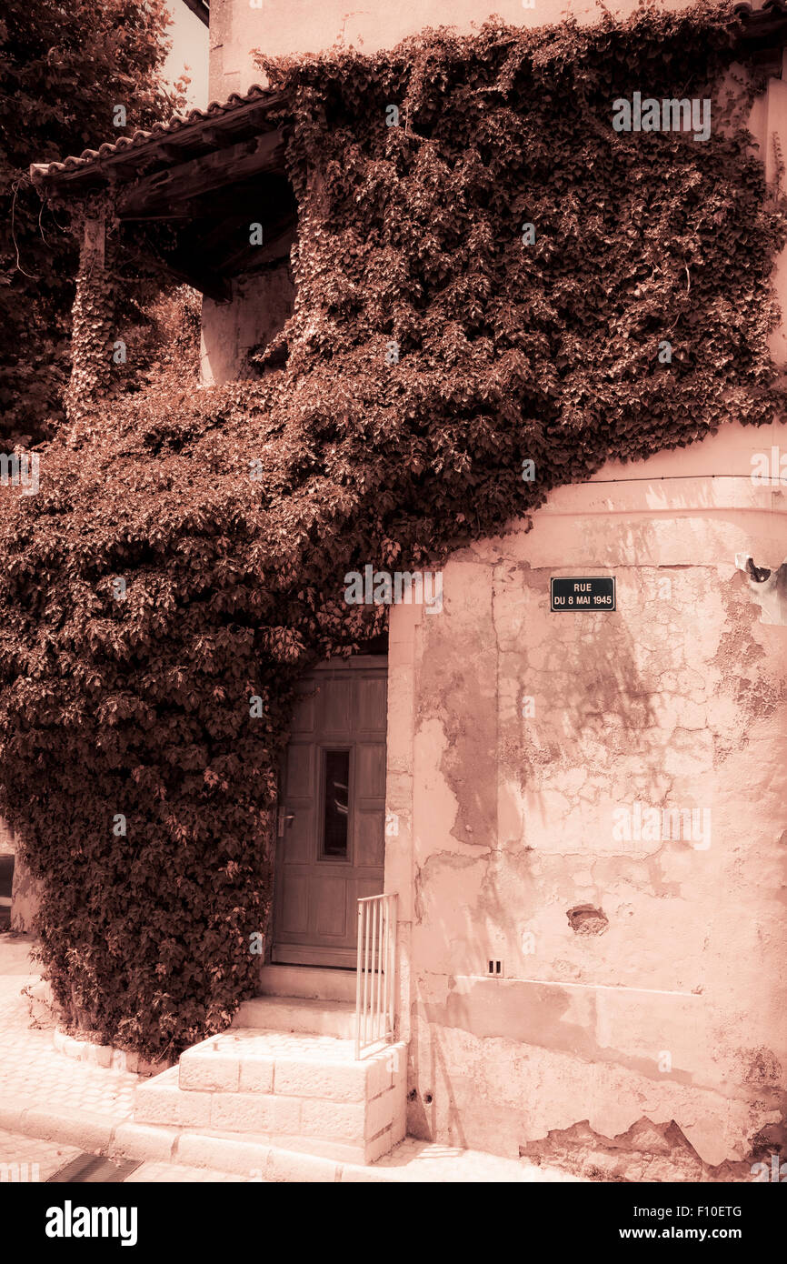 Wall climbing plant on an old French House in Saint-Remy-de-Provence on the Rue du 8 Mai 1945 warm sepia effect Stock Photo