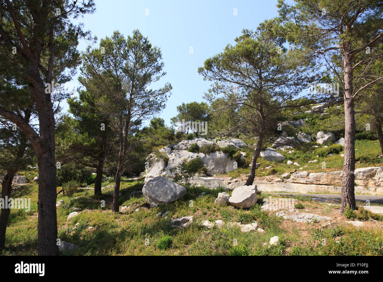 Rocky hillside with pine trees in Provence France Stock Photo
