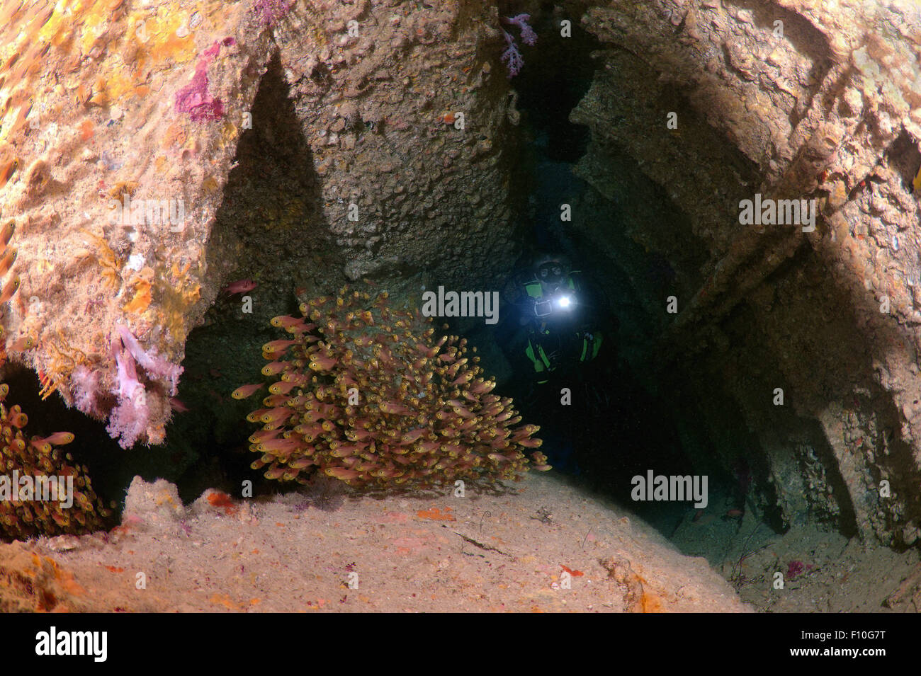 Red Sea, Egypt. 15th Oct, 2014. A diver and Glassy Sweepers (Pempheris schomburgkii) in the ship's hold shipwreck ''SS Dunraven'', Red Sea, Egypt © Andrey Nekrasov/ZUMA Wire/ZUMAPRESS.com/Alamy Live News Stock Photo