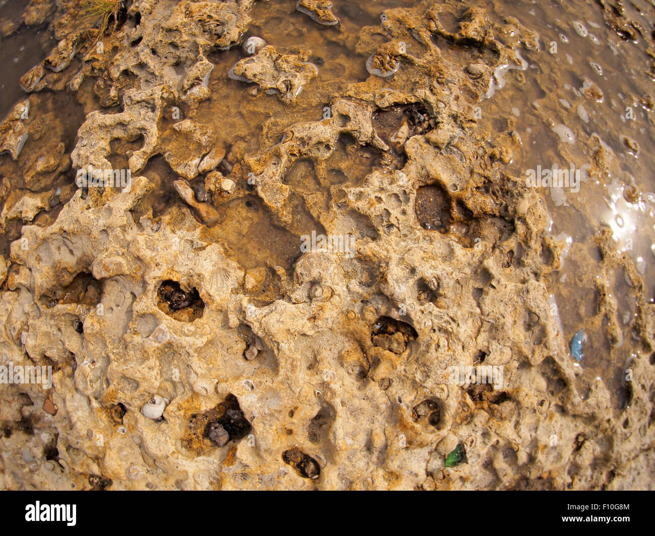 Closeup sea water rocky coast hi-res stock photography and images - Alamy