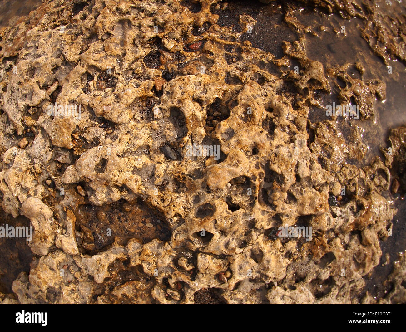 Closeup sea water rocky coast hi-res stock photography and images - Alamy