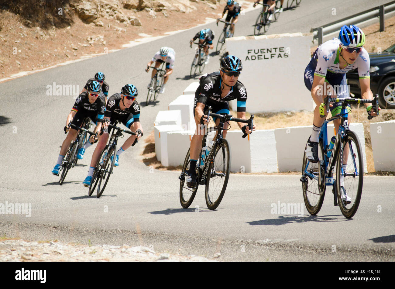 Spain. 24th August, 2015. Tour of Spain. Stage 3; from Mijas to Malaga; 158 km. Spain. Sky team passes by at Mijas Alto. Credit:  Perry van Munster/Alamy Live News Stock Photo