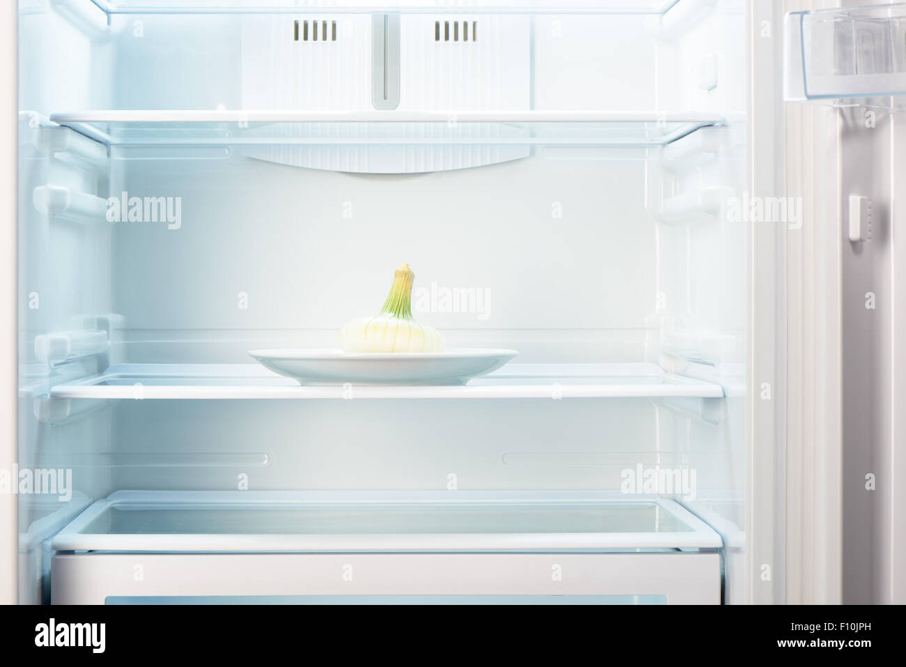 White onion on white plate in open empty refrigerator. Weight loss diet