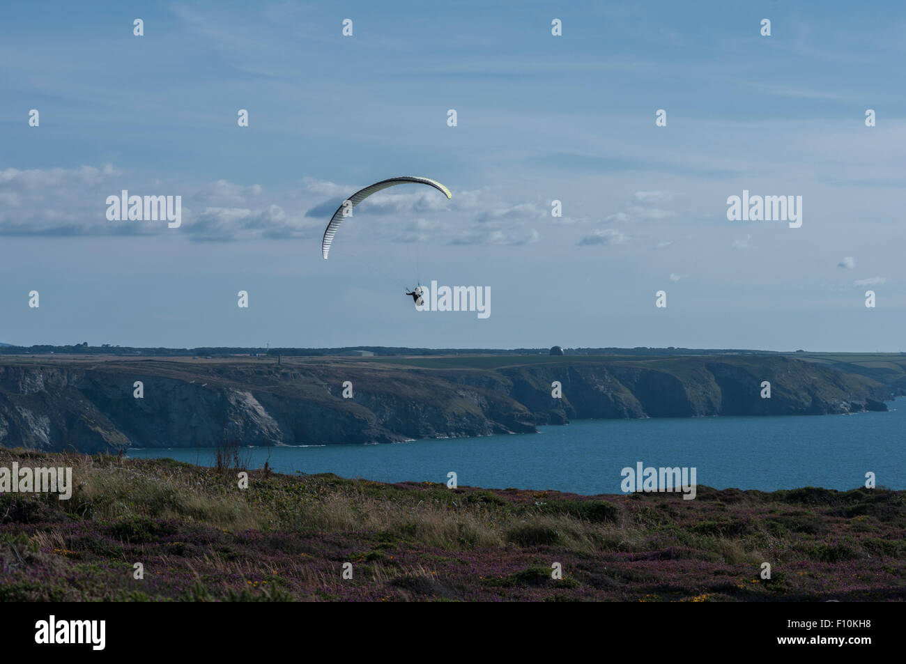 Paragliding on the St Agnes peninsula in Cornwall Stock Photo Alamy