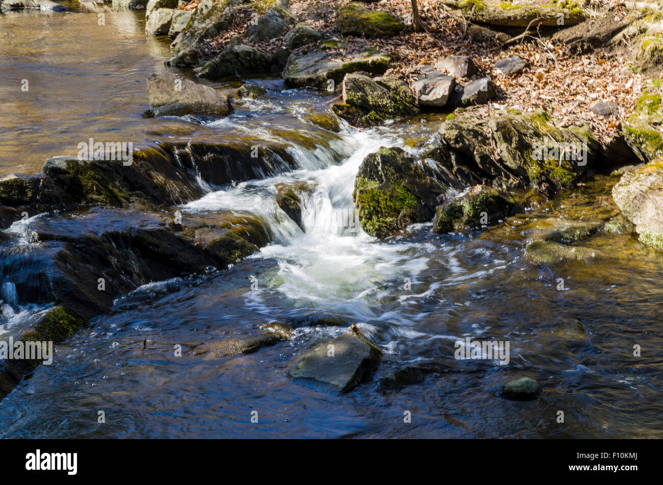 Trillium Woods walking trails Kanata Ontario Canada Stock Photo Alamy