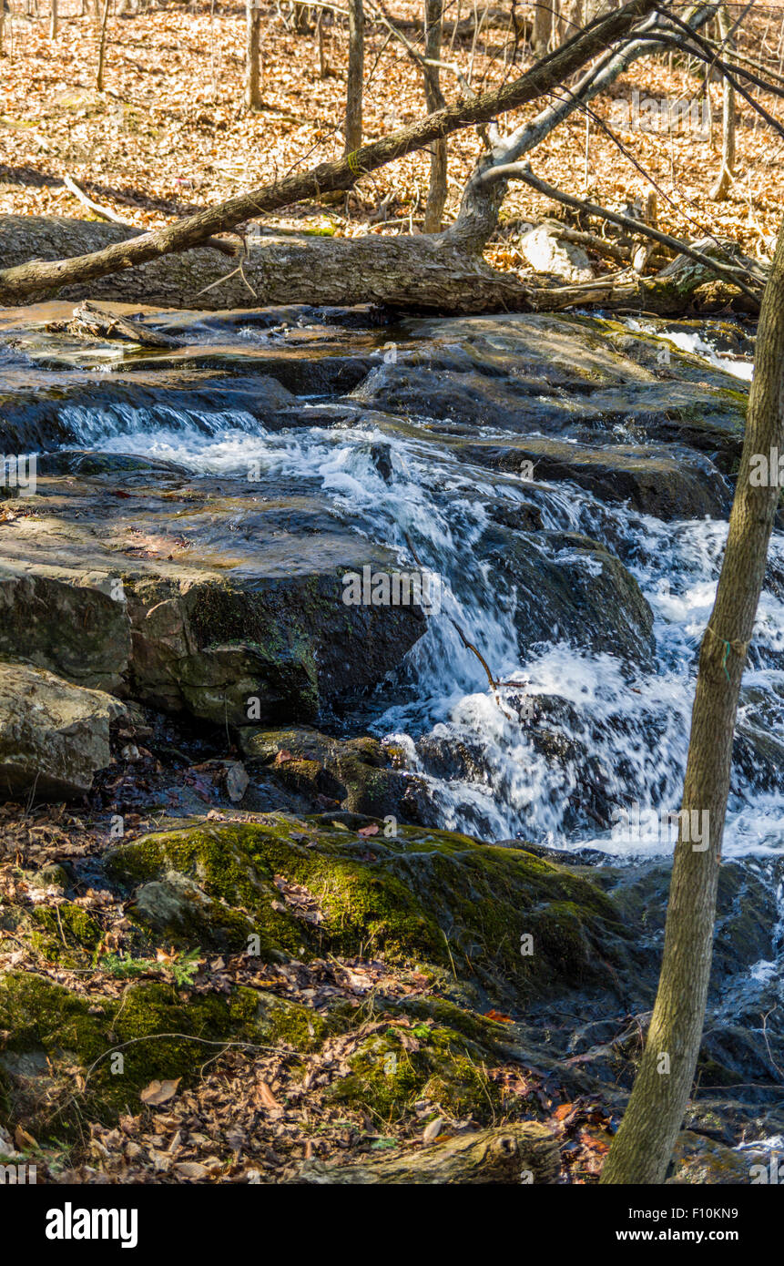 Trillium Woods walking trails Kanata Ontario Canada Stock Photo Alamy