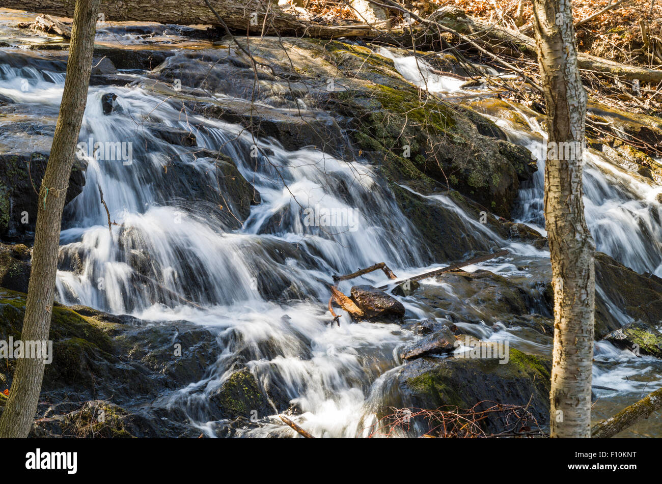 Trillium Woods walking trails Kanata Ontario Canada Stock Photo Alamy
