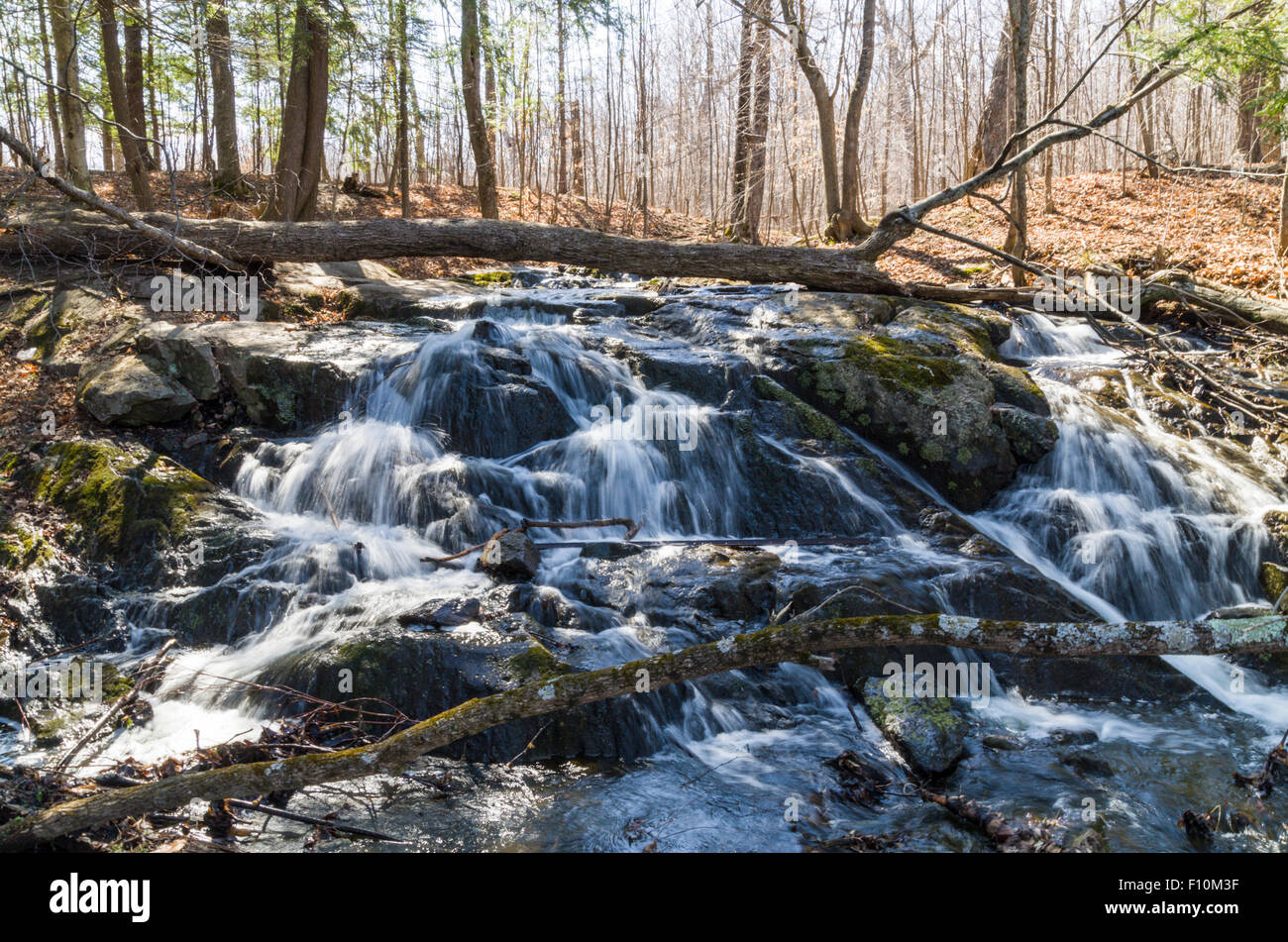 Trillium Woods walking trails Kanata Ontario Canada Stock Photo - Alamy