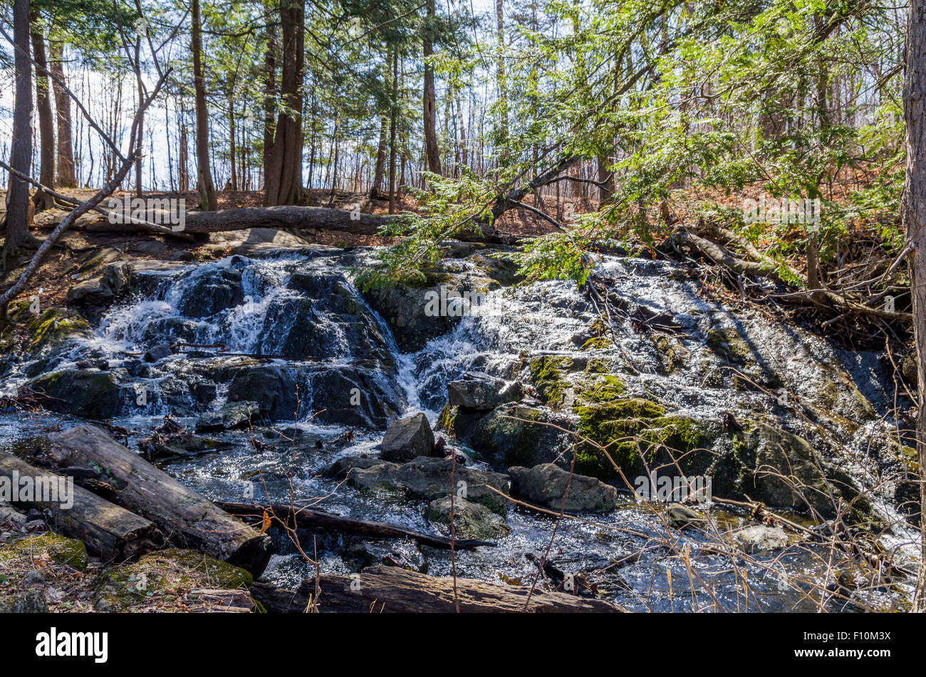 Trillium Woods walking trails Kanata Ontario Canada Stock Photo Alamy