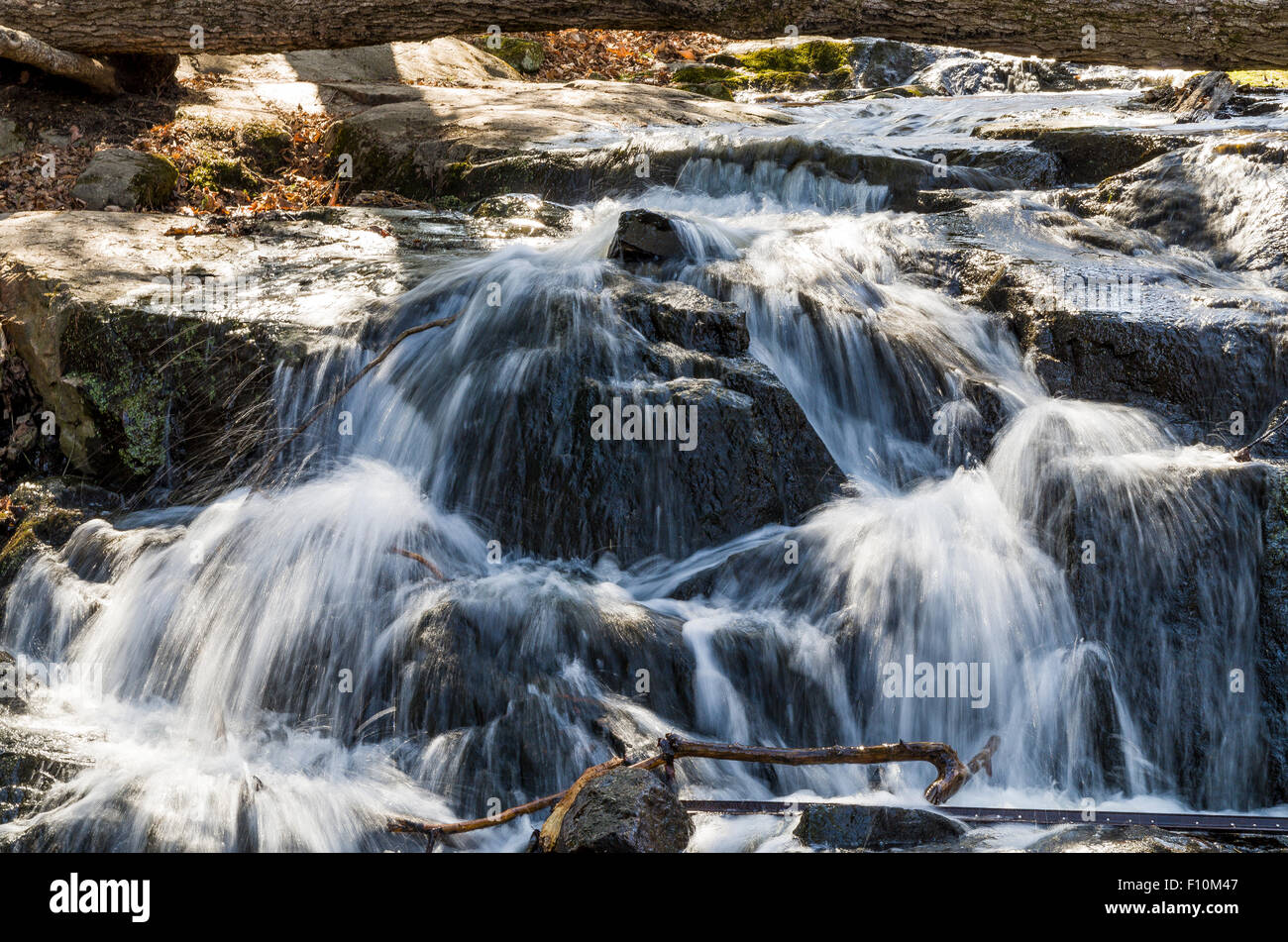Trillium Woods walking trails Kanata Ontario Canada Stock Photo Alamy