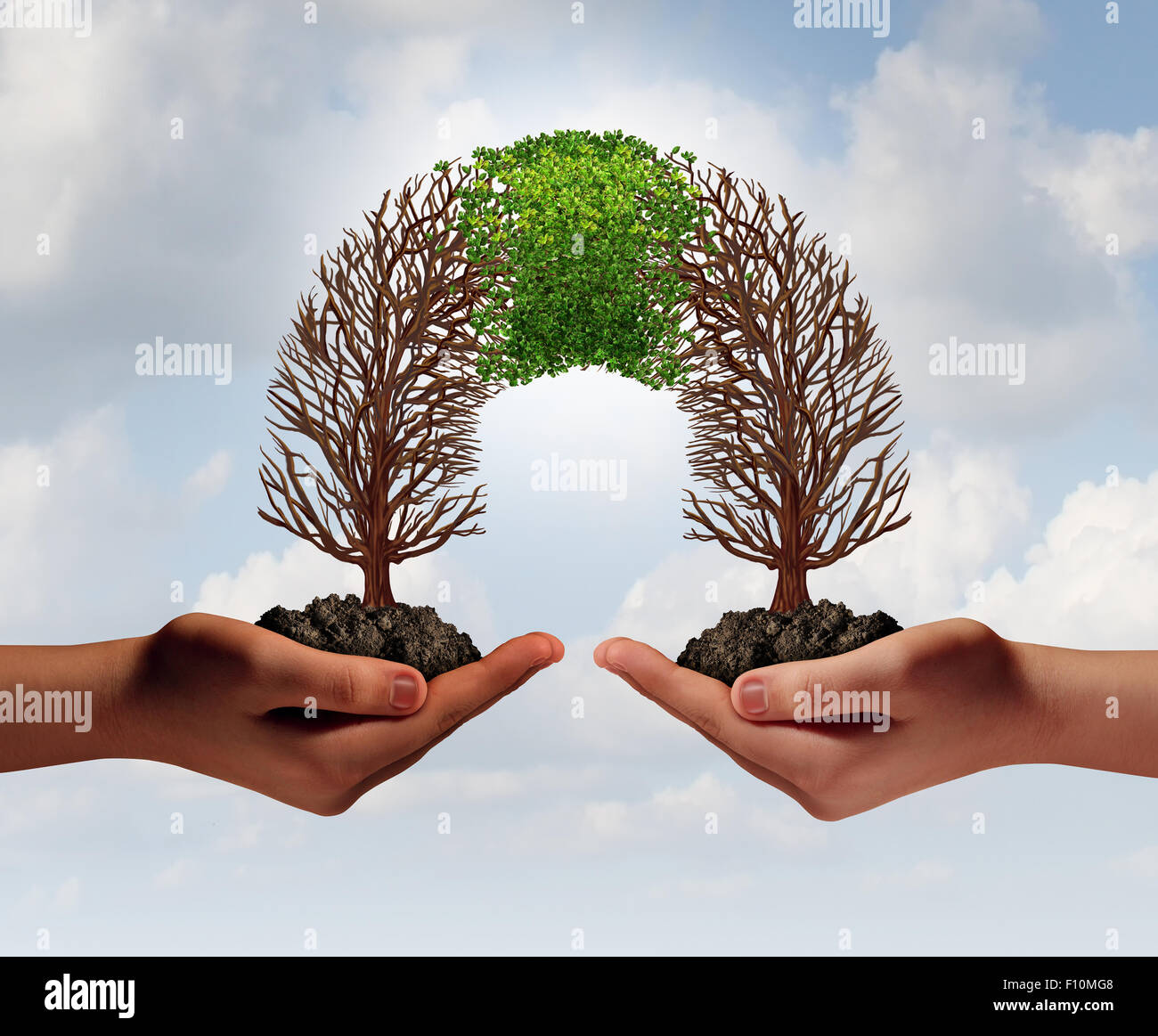 Build a business as a collaborative team with struggling trees connecting with a partner for teamwork financial growth and success as a metaphor for partnership cooperation. Stock Photo