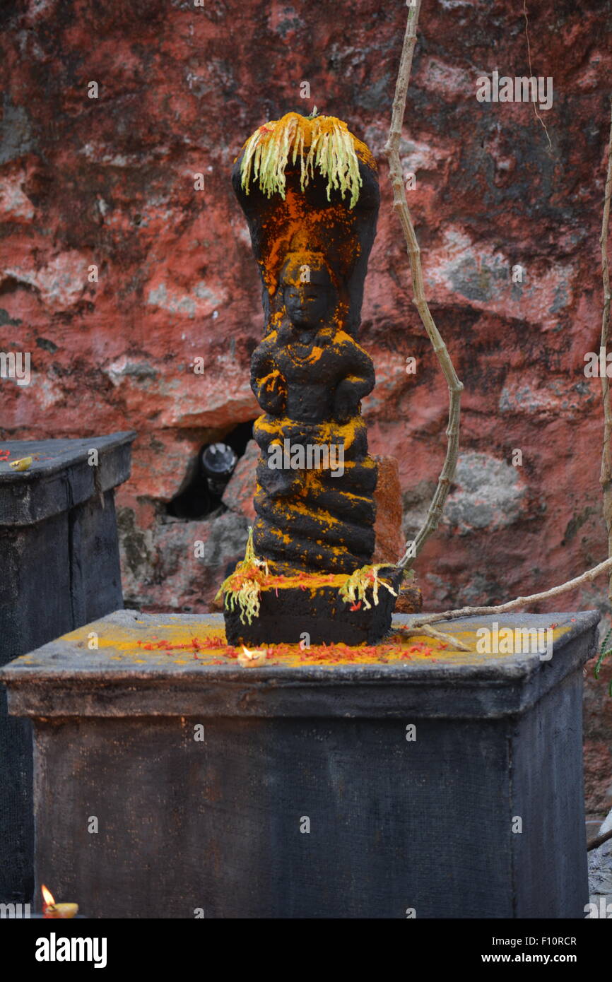 Hindu snake god Nagaraja statue kept on a high platform being worshipped with turmeric powder Stock Photo