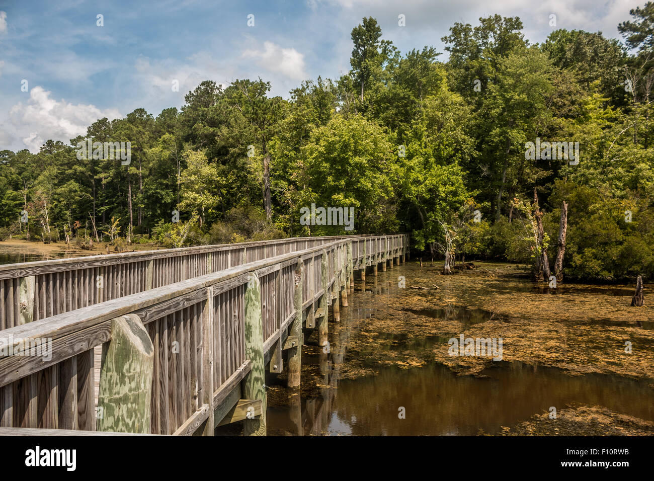 Bridge over Wetlands Stock Photo Alamy