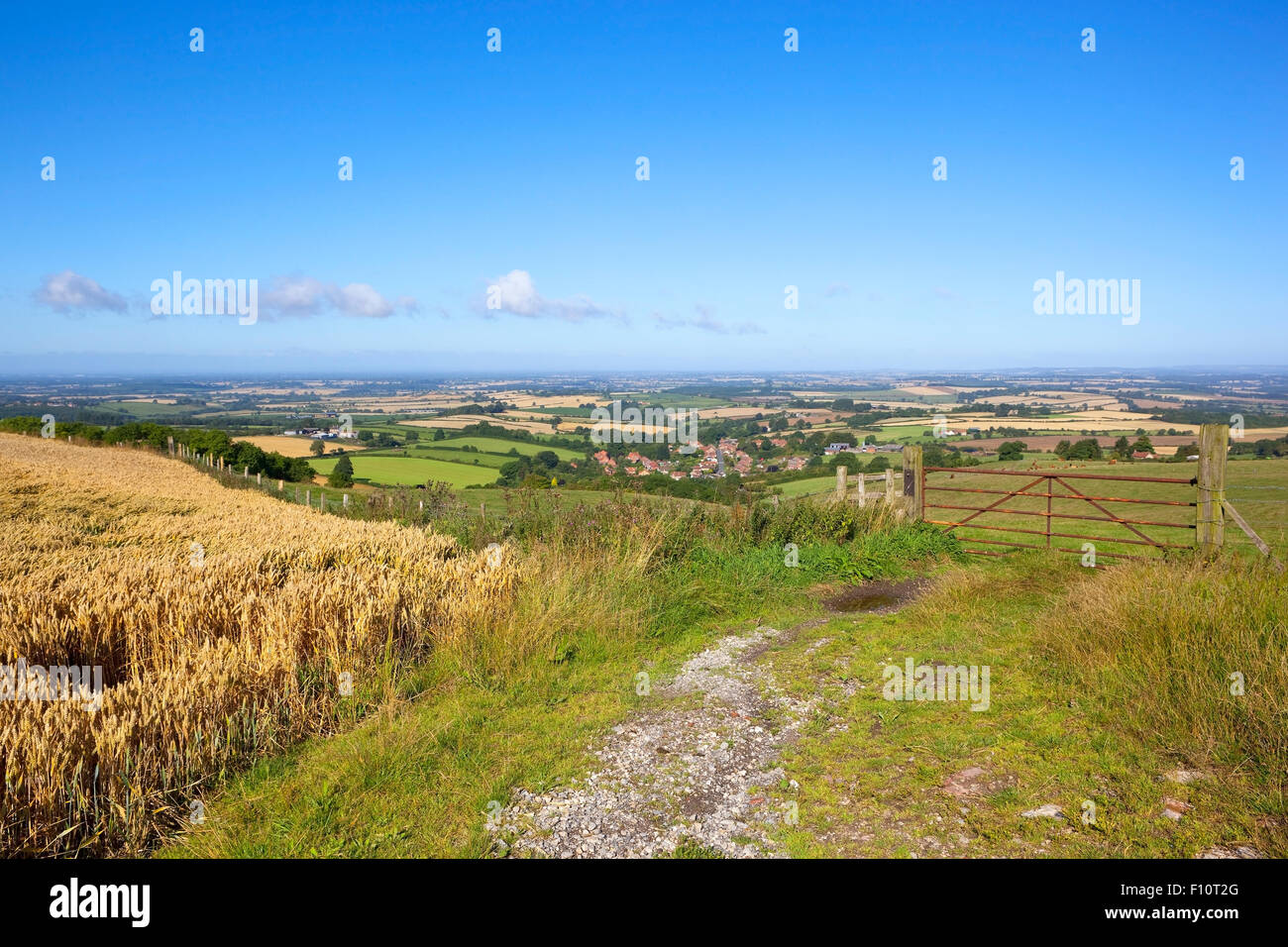 Patchwork landscape of the Vale of York viewed from high on the Yorkshire wolds above the village of Acklam in August. Stock Photo