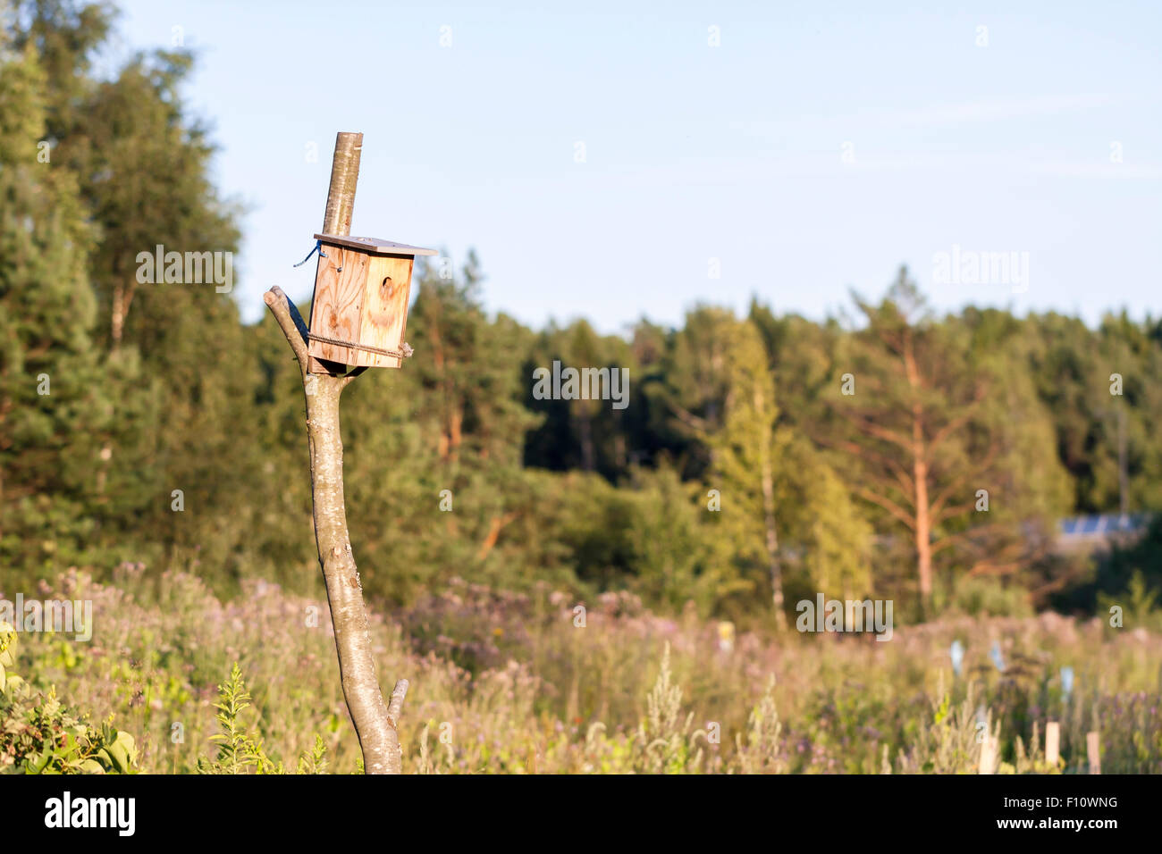Man made wooden birdhouse at sunset attached to a branch Stock Photo